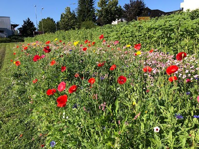 Blumen zum selber schneiden, Fleuriste à Widnau
