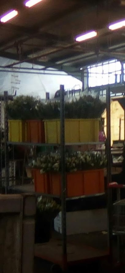 Crousaz Fleurs, Fleuriste à Yvorne