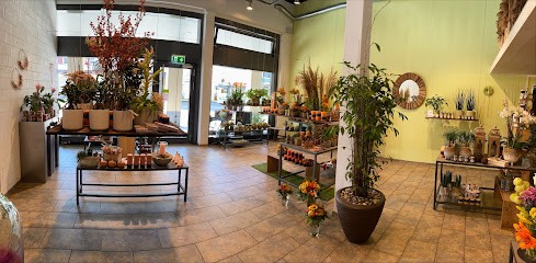 Artflor Gmbh Blumengeschäft, Fleuriste à Unterägeri