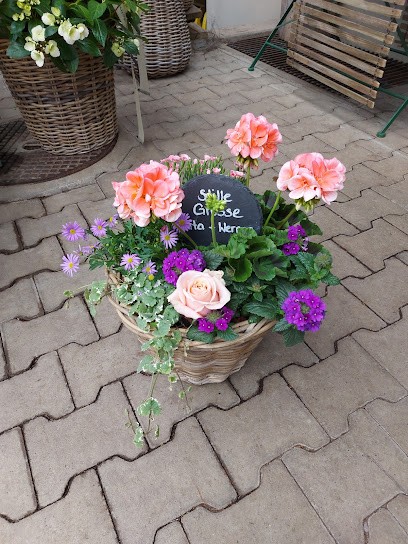Blumengarten Und Gärtnerei, Fleuriste à Willisau